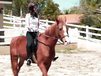 Sinn Knowledgeable together with her dazzling ginger beer partner massage in perpetuity other's bodies on a wooden pony